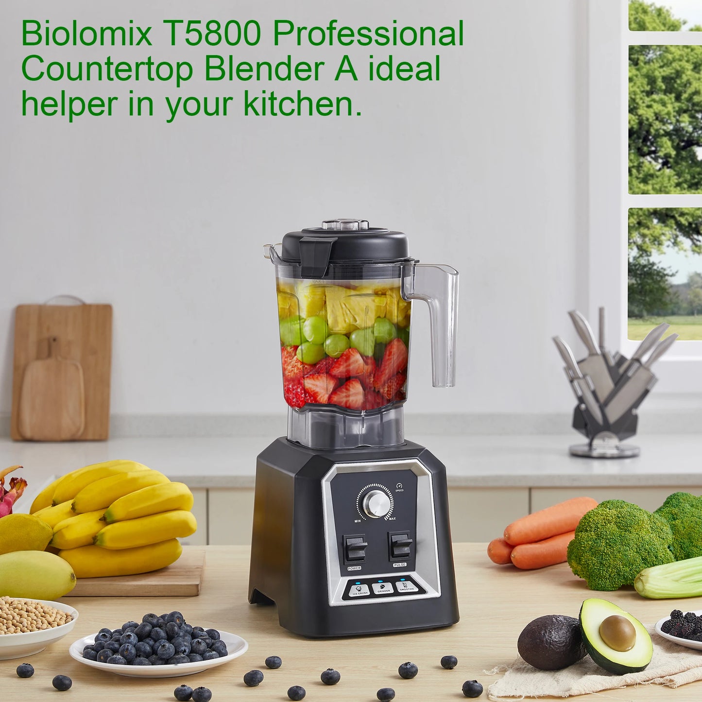 Biolomix Automatic Program Blender Pro 2L Smoothie Processor