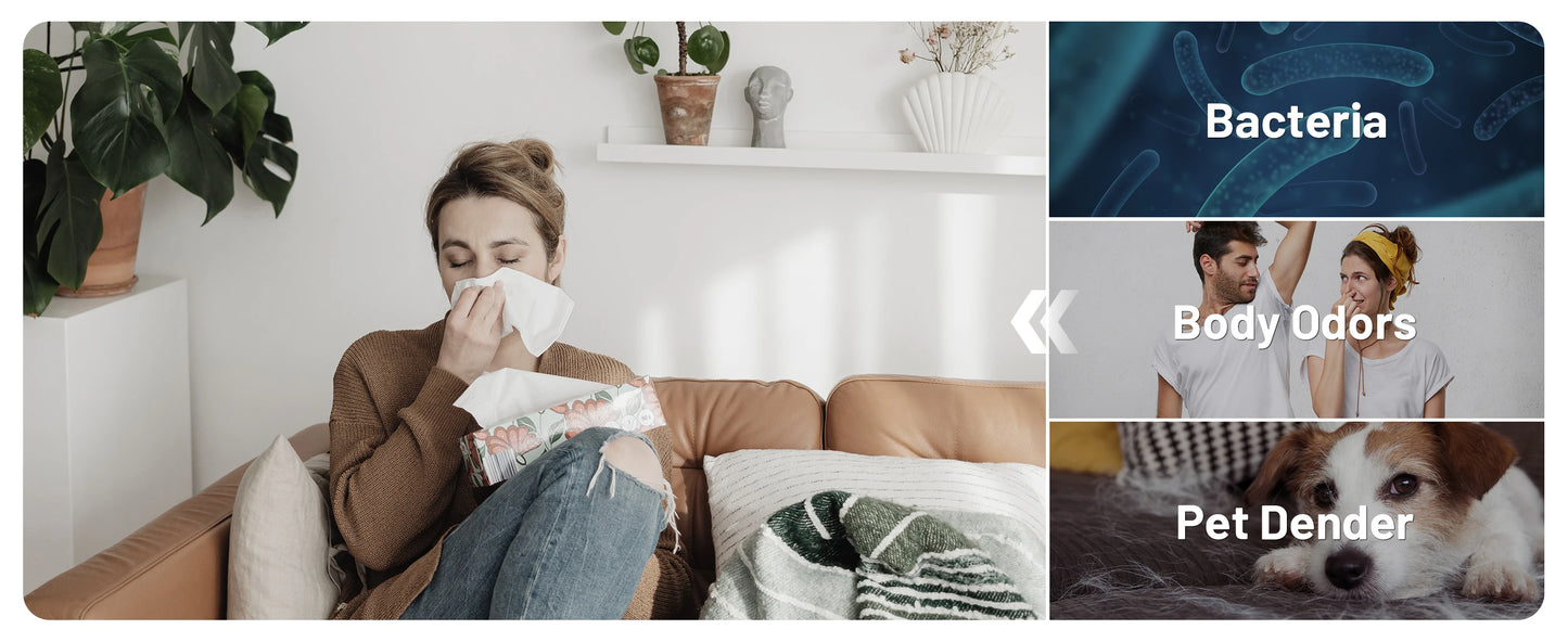 Jafända Smart Air Purifier For Home With Alexa And True HEPA